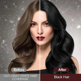 Yasme 3 in 1 Black Herbal Hair Dye Shampoo - Buy 1 Get 1 Free