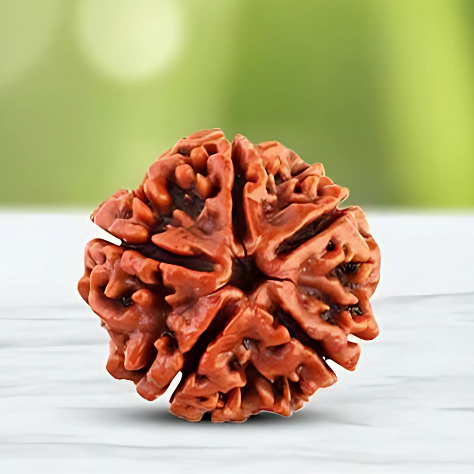 108 Beads Rudraksha Jaap Mala