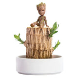 Lucky Brazil Wood Potted Plant (Toy/Tray Not Included)