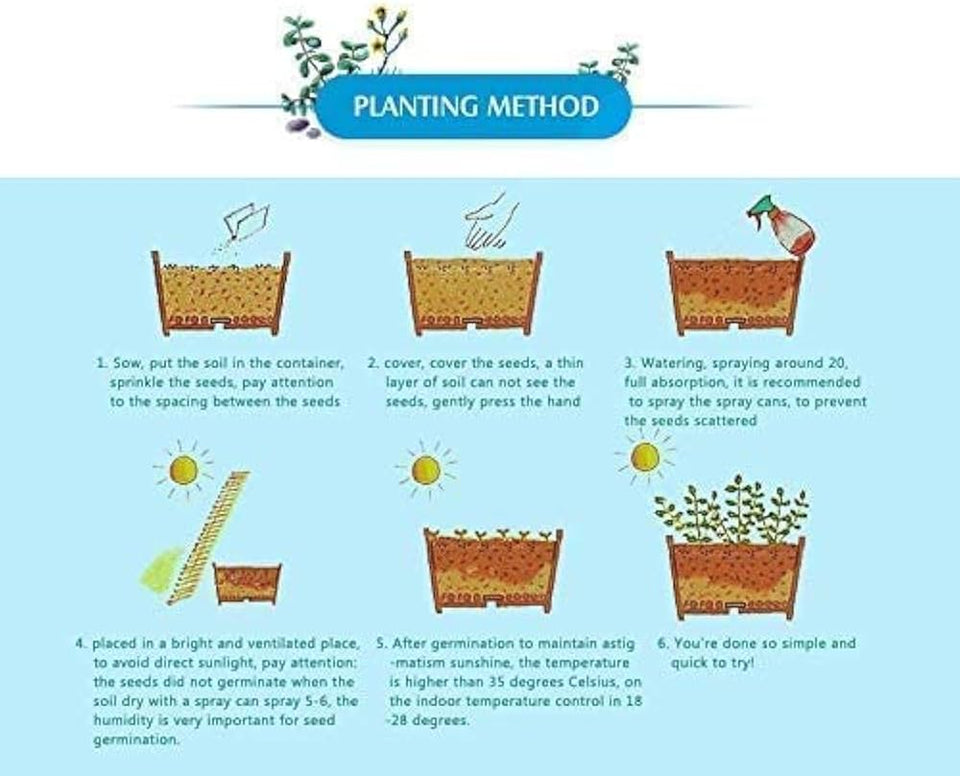🌺Imported Premium Quality Flower Seeds (Combo Pack of 20 Different Flower)