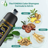 Triple Action Black Hair Dye Shampoo