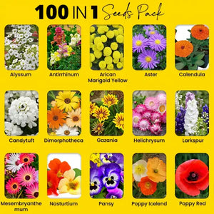 Varieties of Flower Seeds (Pack of 100)