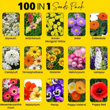 Varieties of Flower Seeds (Pack of 100)