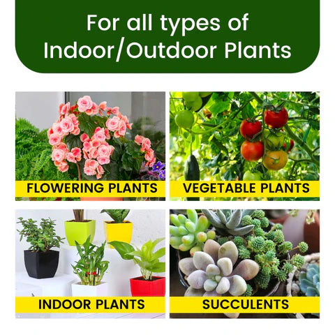 Plant Grow Fertilizer Sticks For Plants (Pack of 50 Sticks)