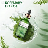 Rosemary Oil Hair Oil Contains Rosemary Leaf Oil 50ML (Pack of 2)