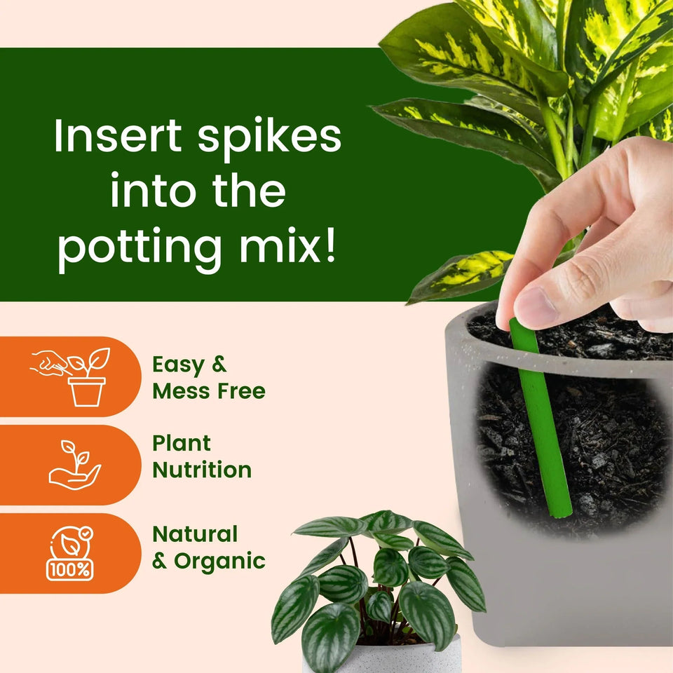 Plant Grow Fertilizer Sticks For Plants (Pack of 50 Sticks)