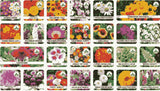 Multiple Variety Of Flower Seeds (Pack of 100 Seeds)