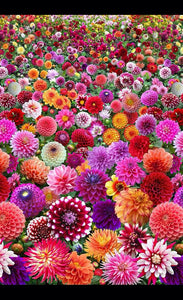 Varieties of Flower Seeds (Pack of 100)